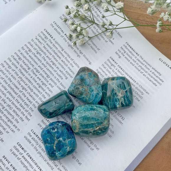 Blue Apatite Tumbles