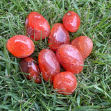 Carnelian Tumbles