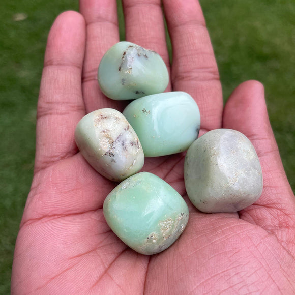 Chrysoprase Tumbles