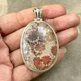 Fossil Coral Silver Pendant