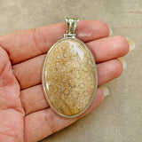 Fossil Coral Silver Pendant