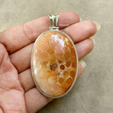 Fossil Coral Silver Pendant