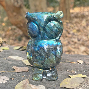 Labradorite Owl