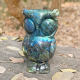 Labradorite Owl